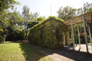 南丫青年營 Lamma Youth Camp